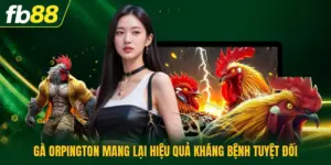 Gà Orpington Mang Lại Hiệu Quả Kháng Bệnh Tuyệt Đối